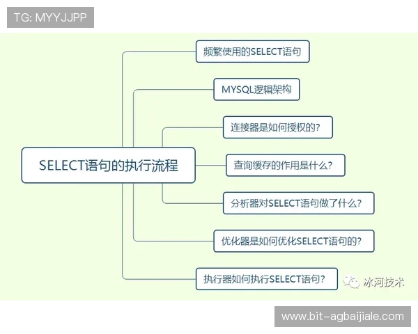 全面解析ag备用官网全站登录流程，轻松应对登录中的常见问题