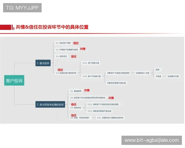 利来国际ag集团：客户服务体系优化提升用户满意度与品牌忠诚度
