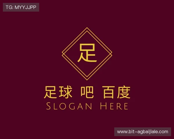 关于百 家 乐游戏